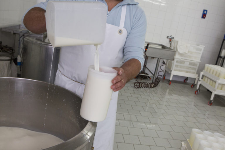 Cascina Vellero - La lavorazione del latte